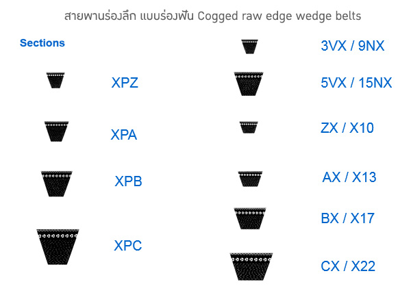 สายพานร่องลึก แบบร่องฟัน Cogged raw edge wedge belts