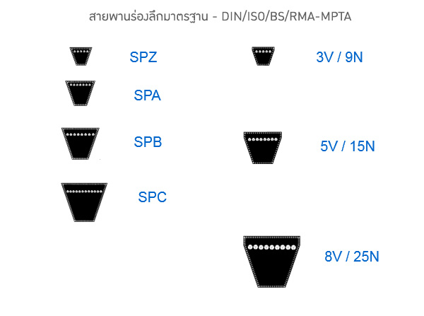 สายพานร่องลึกมาตรฐาน - DIN/ISO/BS/RMA-MPTA