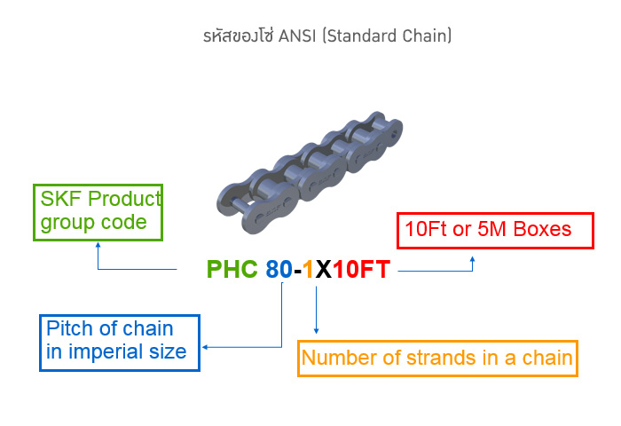 รหัสของโซ่ ANSI (Standard Chain)