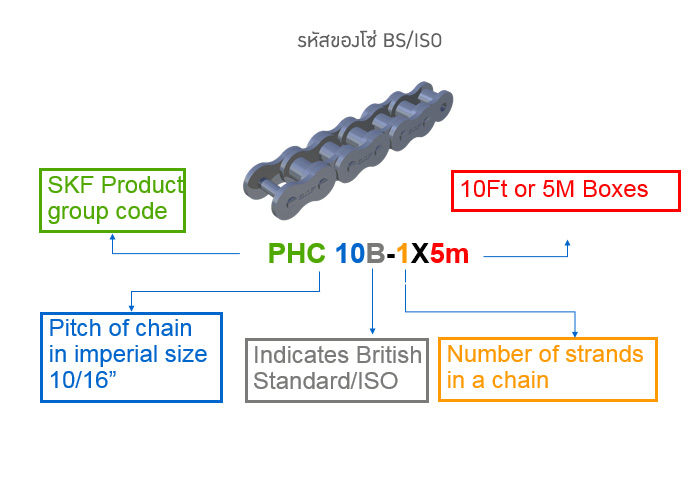 รหัสของโซ่ BS/ISO