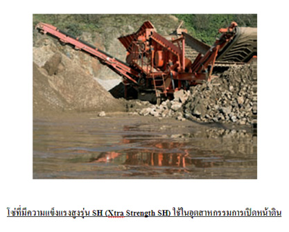 โซ่แข็งแรงเป็นพิเศษ รุ่น SH (Heavy duty Chains)