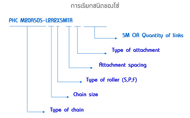 การเรียกชนิดของโซ่